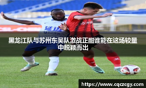 黑龙江队与苏州东吴队激战正酣谁能在这场较量中脱颖而出